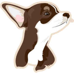 Chihuahua Beige Sticker