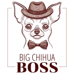 Chihuahua Boss Sticker