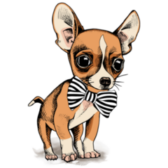 Chihuahua Bow Tie Sticker