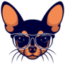 Chihuahua Eyeglasses Sticker