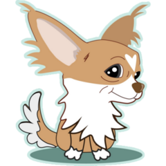 Chihuahua Heart Sticker 
