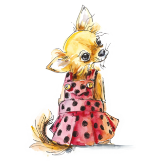 Chihuahua In Dress Sticker