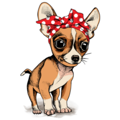 Chihuahua In Headband Sticker