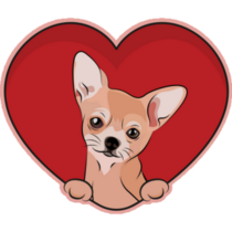 Chihuahua Inside Heart Sticker