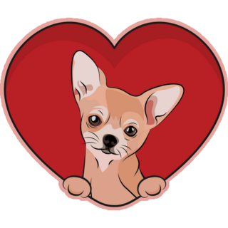 Chihuahua Inside Heart Sticker