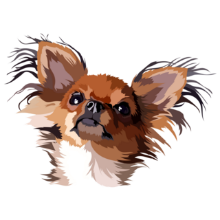 Chihuahua Longhair Sticker