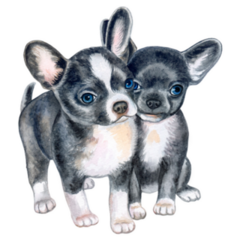 Chihuahua Puppies Sticker