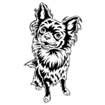 Chihuahua Sketch Sticker