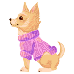 Chihuahua Sweater Sticker