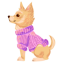 Chihuahua Sweater Sticker