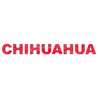Chihuahua Text Sticker