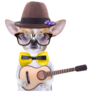 Chihuahua With Guitar Sticker