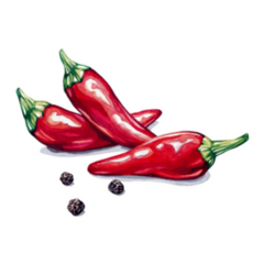 Chili Pepper, Cayenne Pepper Mexican Watercolor Sticker