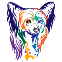 Chinese Crested Color Sticker