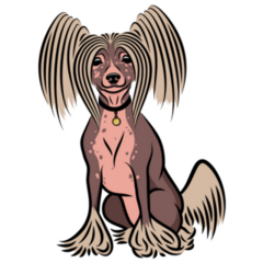 Chinese Crested Dog Sticker