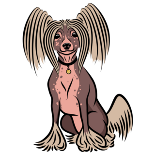 Chinese Crested Dog Sticker