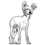 Chinese Crested Drawing Sticker