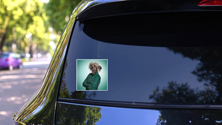 Chinese Crested Human Sticker on a Rear Car Window (New) example