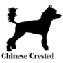 Chinese Crested Icon Sticker