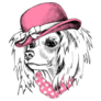 Chinese Crested In Hat Sticker