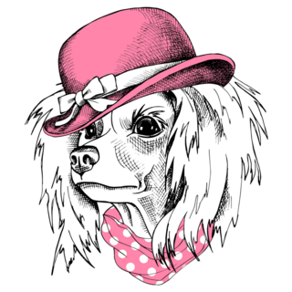 Chinese Crested In Hat Sticker