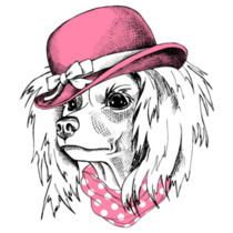 Chinese Crested In Hat Sticker