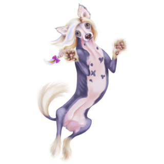 Chinese Crested Jumping Sticker