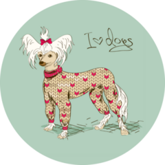 Chinese Crested Outfit Sticker