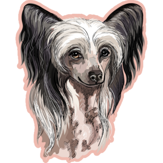 Chinese Crested Pink Sticker