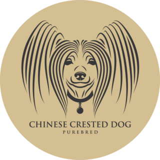 Chinese Crested Purebred Sticker