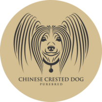 Chinese Crested Purebred Sticker
