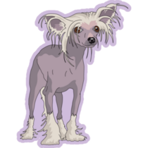 Chinese Crested Purple Sticker
