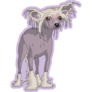 Chinese Crested Purple Sticker