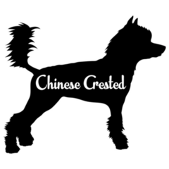 Chinese Crested Silhouette Sticker