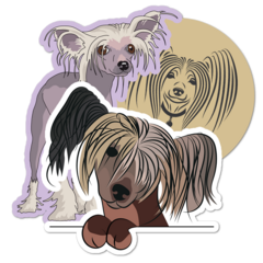 Chinese Crested Thumbnail