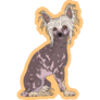 Chinese Crested Yellow Sticker