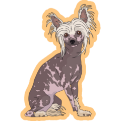 Chinese Crested Yellow Sticker