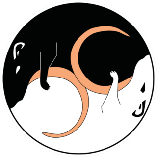 Chinese New Year Yin Yang Rats Sticker