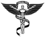 Chiropractic Symbol Is An Illustration Health Sticker