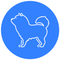 Chow Blue Sticker