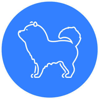 Chow Blue Sticker