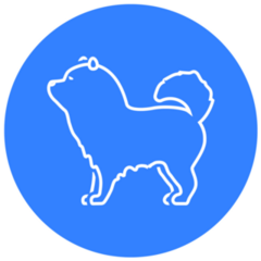 Chow Blue Sticker