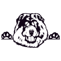 Chow Chow B & W Sticker