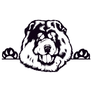 Chow Chow B & W Sticker