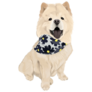 Chow Chow Bandana Sticker