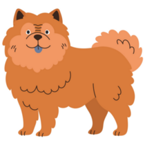 Chow Chow Breed Sticker