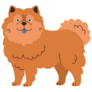 Chow Chow Breed Sticker