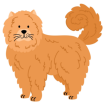 Chow Chow Canine Sticker