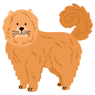Chow Chow Canine Sticker