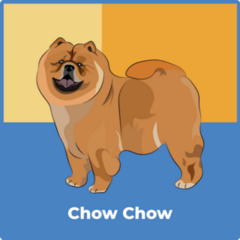 Chow Chow Colorful Block Sticker